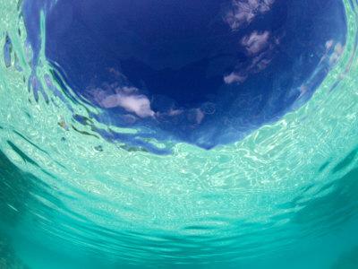 ocean print underwater print underwater wave Ocean photography underwater photo wall art ocean art home decor pristine underwater